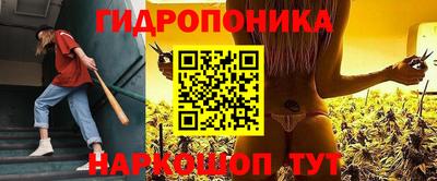 крисы Ливны